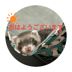 [LINEスタンプ] This ムイ
