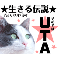 [LINEスタンプ] 猫とエモーションしてみる？