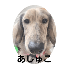 [LINEスタンプ] あっしゅとあーる