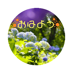 [LINEスタンプ] 写文字(あいさつ)