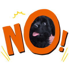 [LINEスタンプ] もふもふーの陸たん