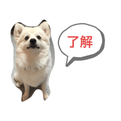 [LINEスタンプ] むぎ♪のスタンプ