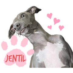 [LINEスタンプ] Jentilスタンプ①