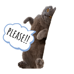 [LINEスタンプ] ChutE