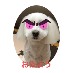 [LINEスタンプ] 愛犬ライン2