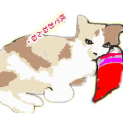 [LINEスタンプ] 百人一首読むアン