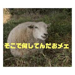 [LINEスタンプ] 今日のメェ2