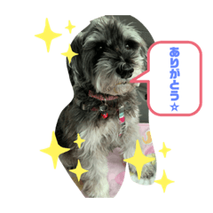 [LINEスタンプ] アリコちゃん4