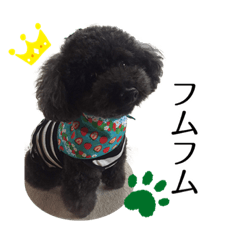 [LINEスタンプ] K宅のわんこスタンプ