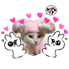[LINEスタンプ] モカちゃん マロン君