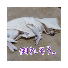 [LINEスタンプ] スムチー♡チルチルの毎日スタンプ②