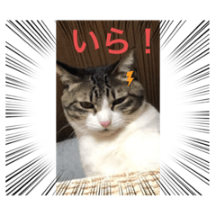 [LINEスタンプ] ♡琴子スタンプ♡