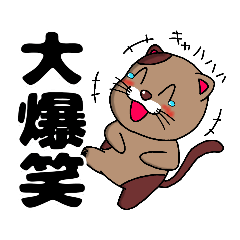 [LINEスタンプ] ネコラトゥーン