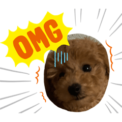 [LINEスタンプ] ポン太(仮)