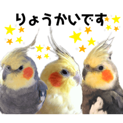 [LINEスタンプ] ちろぴーすけぷぅ3