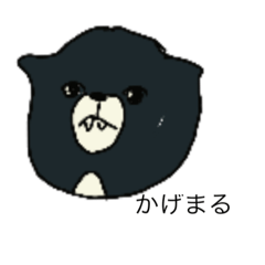 [LINEスタンプ] かげまるちゃん