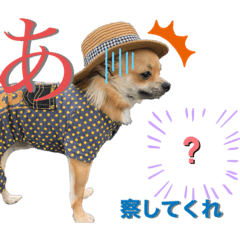 [LINEスタンプ] 我が家の小さな王様4