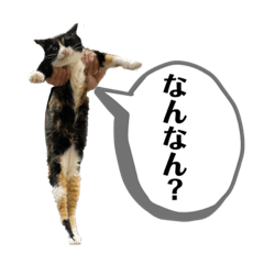 [LINEスタンプ] オリマリ