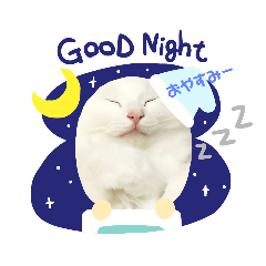 [LINEスタンプ] cat‐2