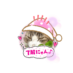[LINEスタンプ] みけねこの会話