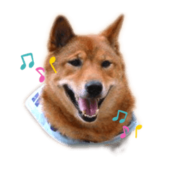[LINEスタンプ] 姫っこワンコ
