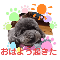 [LINEスタンプ] ワンちゃん仲間たち
