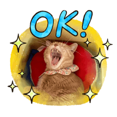 [LINEスタンプ] むぎさん！