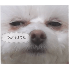 [LINEスタンプ] 山本家のねりもの