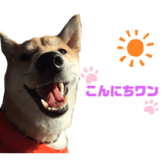 [LINEスタンプ] ふぁんたとくうとコーラとルイ