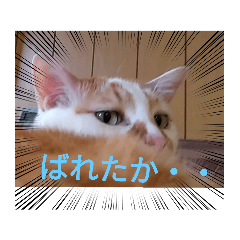 [LINEスタンプ] だるだるちゃびたん