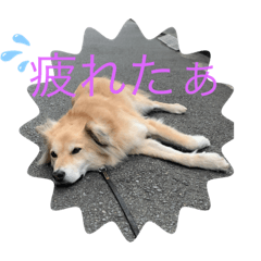 [LINEスタンプ] いつでももん太