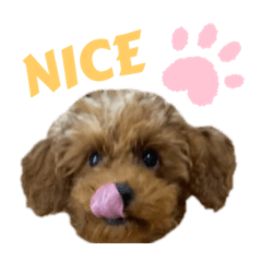 [LINEスタンプ] 犬編