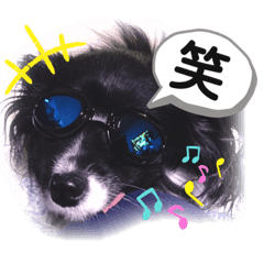 [LINEスタンプ] パピパピパピヨン！(4)