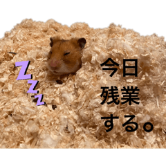 [LINEスタンプ] ハムウルマロ