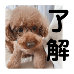 [LINEスタンプ] ポアロの日常生活