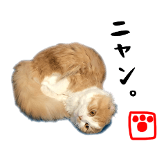 [LINEスタンプ] まめまめまーめ！