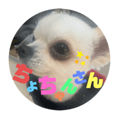 [LINEスタンプ] 受付ちょちゃんさん