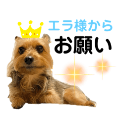 [LINEスタンプ] エラさんスタンプ①