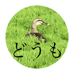 [LINEスタンプ] 需要不明のスタンプ
