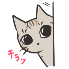 [LINEスタンプ] ゆふぃにゃんにゃんスタンプ