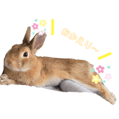 [LINEスタンプ] おしるこ あいさつスタンプ