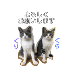 [LINEスタンプ] 猫だけどぐりとぐら