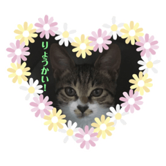 [LINEスタンプ] えまちゃん❤︎❤︎