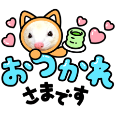 [LINEスタンプ] 坂田のフェレット