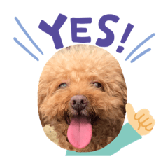 [LINEスタンプ] あいらぶメル＆ニコ2