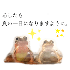 [LINEスタンプ] カエルと月と金魚。