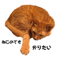[LINEスタンプ] アッシュとラスティーがねだるスタンプ1