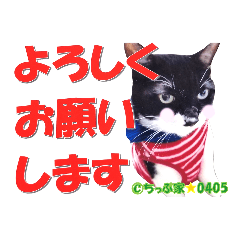 [LINEスタンプ] ちっぷ家★0405②