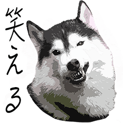 [LINEスタンプ] ハスキー犬 バルトくん