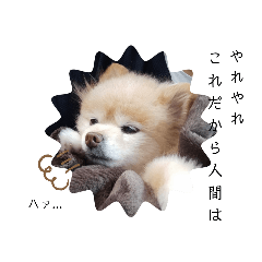 [LINEスタンプ] 犬犬しい犬②